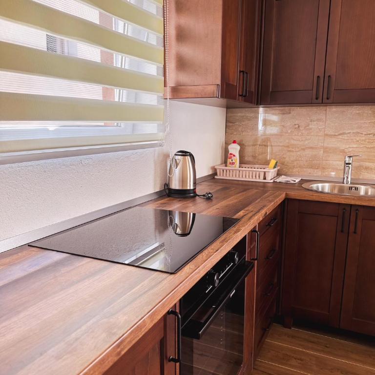 Apartmani Vila Zabljak - Standardna Vila - 10