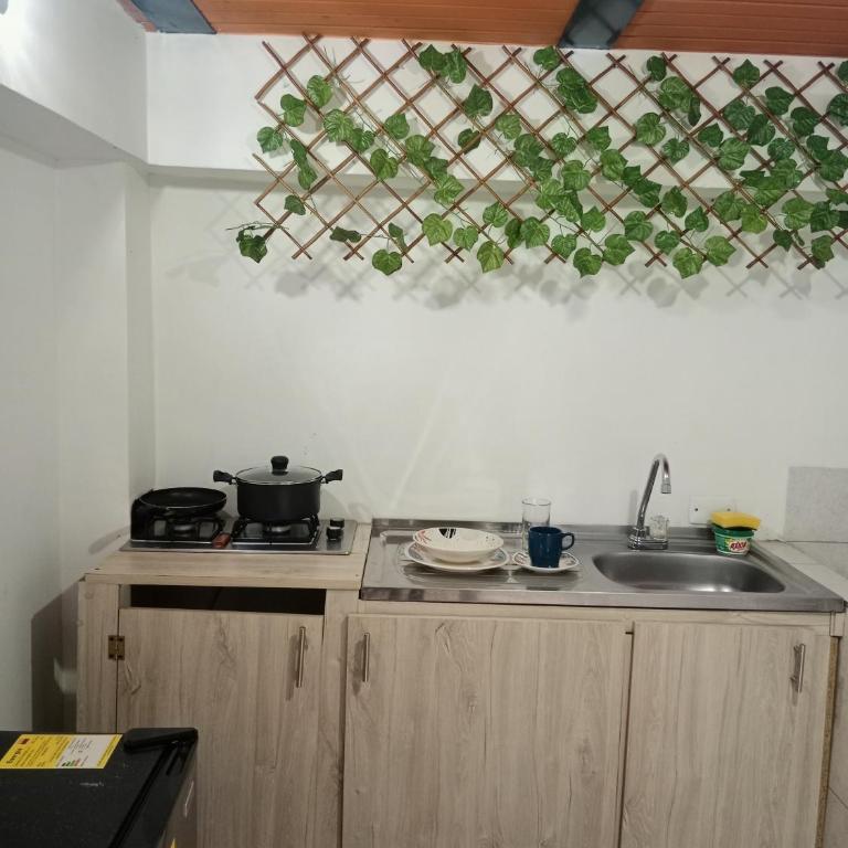 Renacer1 - Apartamento de 1 dormitorio - 12