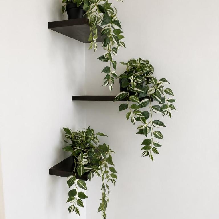 Apartamento 3 hab a 30 min de la Embajada EEUU - Three-Bedroom Apartment - 31
