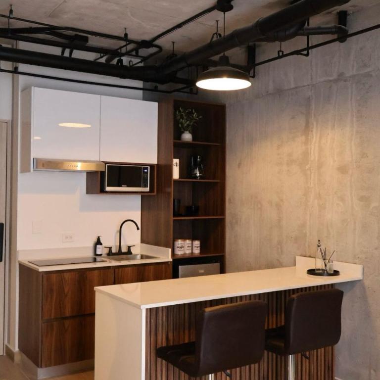 Barrio W, Loft in Downtown Monterrey, Barrio Antiguo - Apartamento de 1 dormitorio - 22