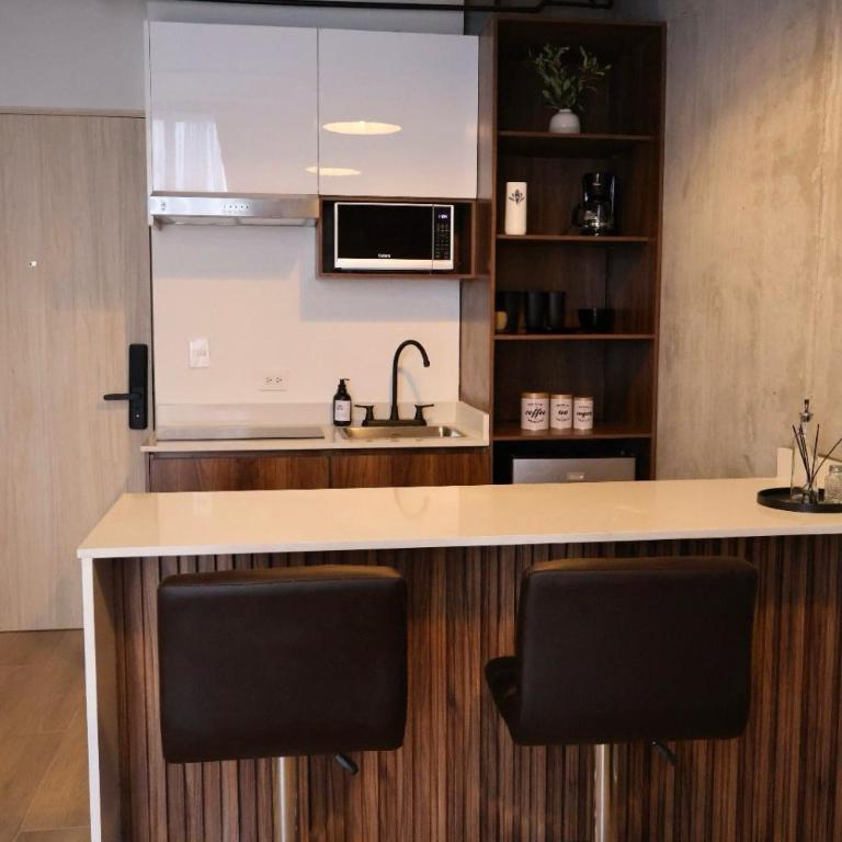 Barrio W, Loft in Downtown Monterrey, Barrio Antiguo - Apartamento de 1 dormitorio - 29