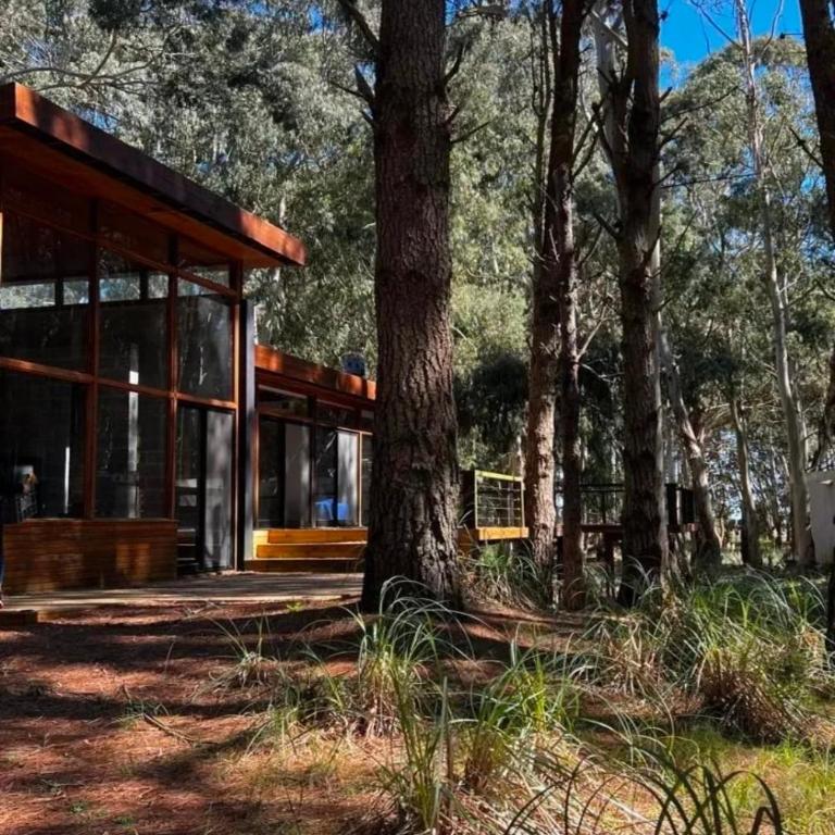 Al Bosque - Casa de 4 dormitorios - 23