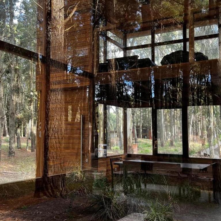 Al Bosque - Casa de 4 dormitorios - 29
