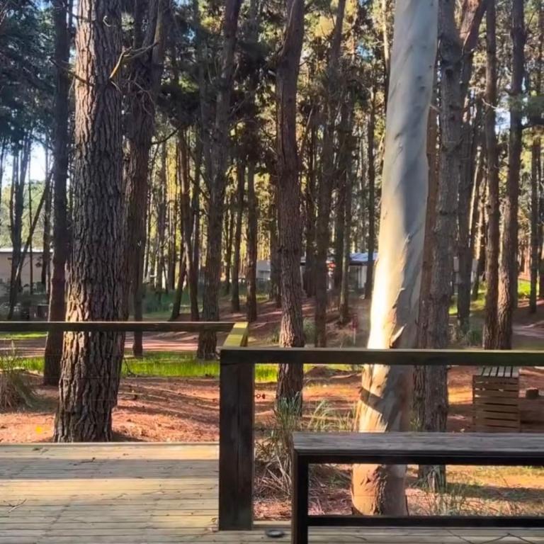 Al Bosque - Casa de 4 dormitorios - 36