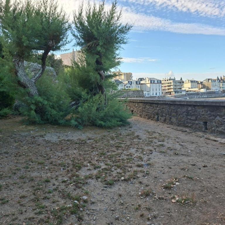 Ciel & Mer - Avec vue imprenable sur la mer - Appartement - 18