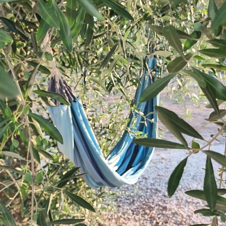 Villa Terra Luce - Villa con 2 Camere da Letto - 20