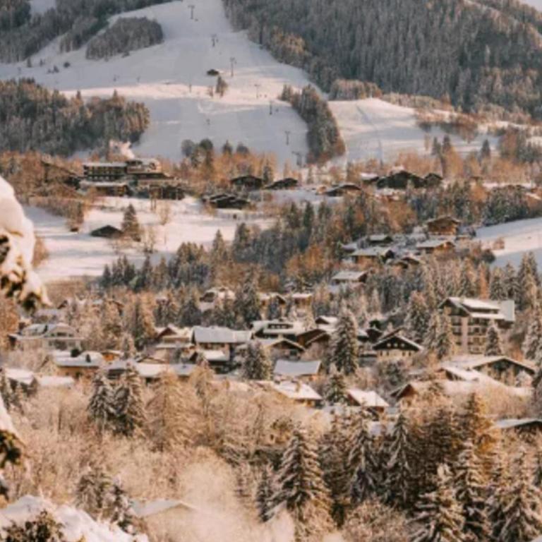 Panoramic view, pool, village & ski slopes - Appartement 3 Chambres - 23