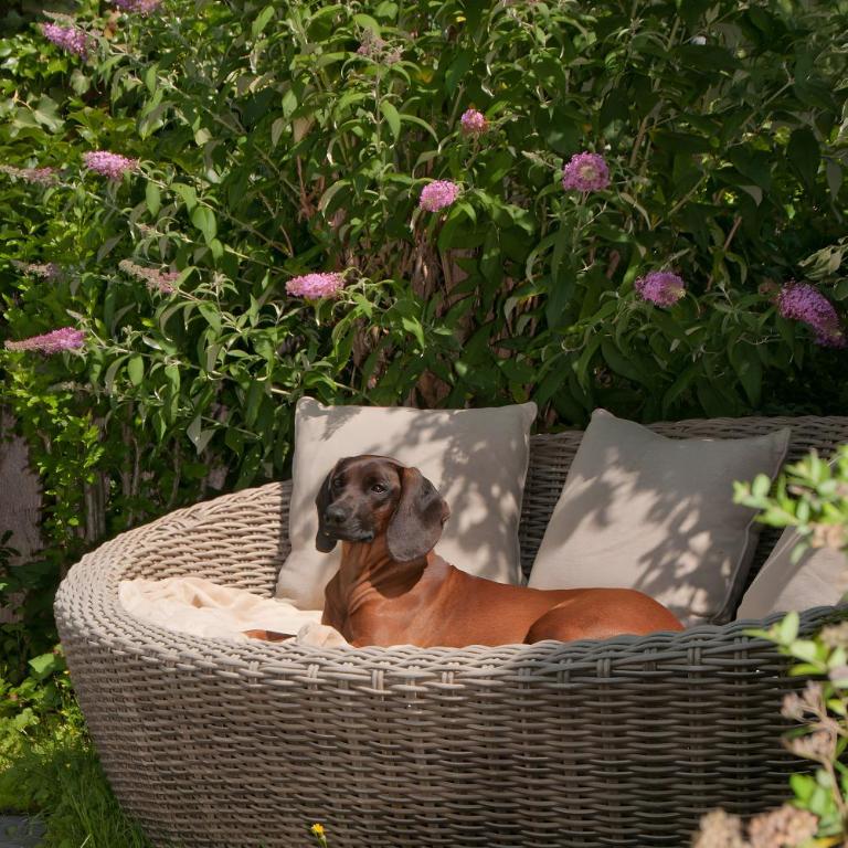 Appartement Wöscherhof - Ferienhaus - 22