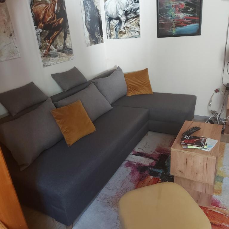 ArtCenterApartment - Apartman sa 1 Spavaćom Sobom - 62