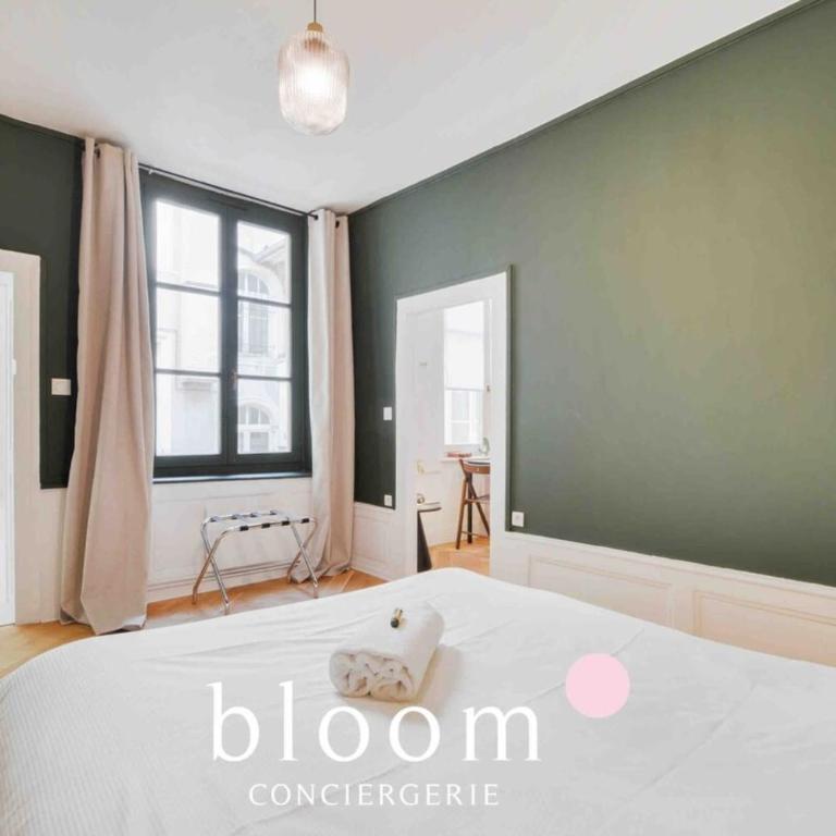 Le Raugraff - Charme et confort en plein coeur de Nancy - Appartement 1 Chambre - 3