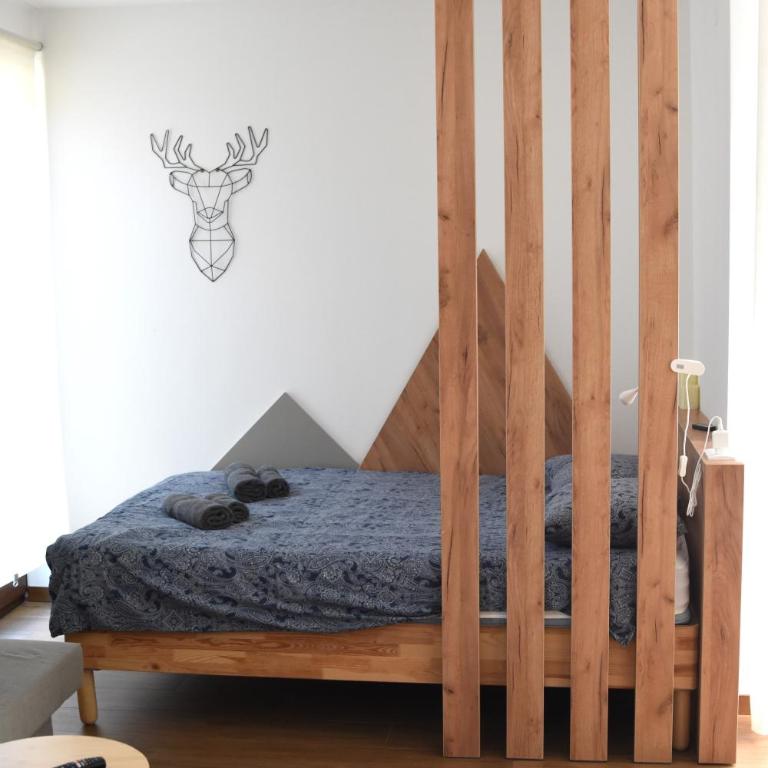 Studio Apartman Nomad Divčibare - Studio apartman sa 1 bračnim krevetom - 2