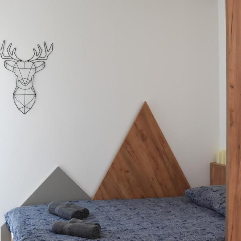 Studio Apartman Nomad Divčibare - Studio apartman sa 1 bračnim krevetom - 8