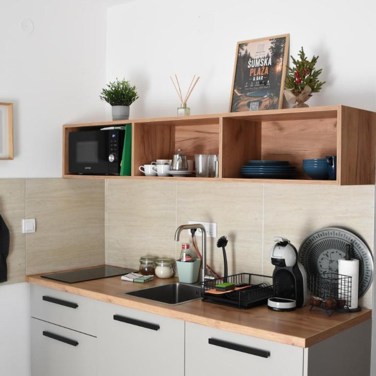 Studio Apartman Nomad Divčibare - Studio apartman sa 1 bračnim krevetom - 9