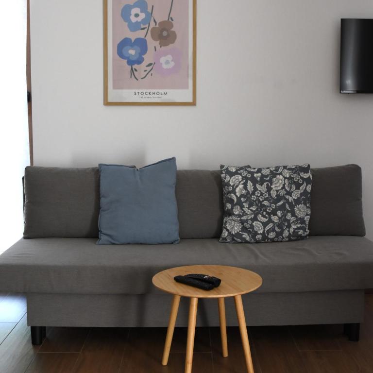 Studio Apartman Nomad Divčibare - Studio apartman sa 1 bračnim krevetom - 15