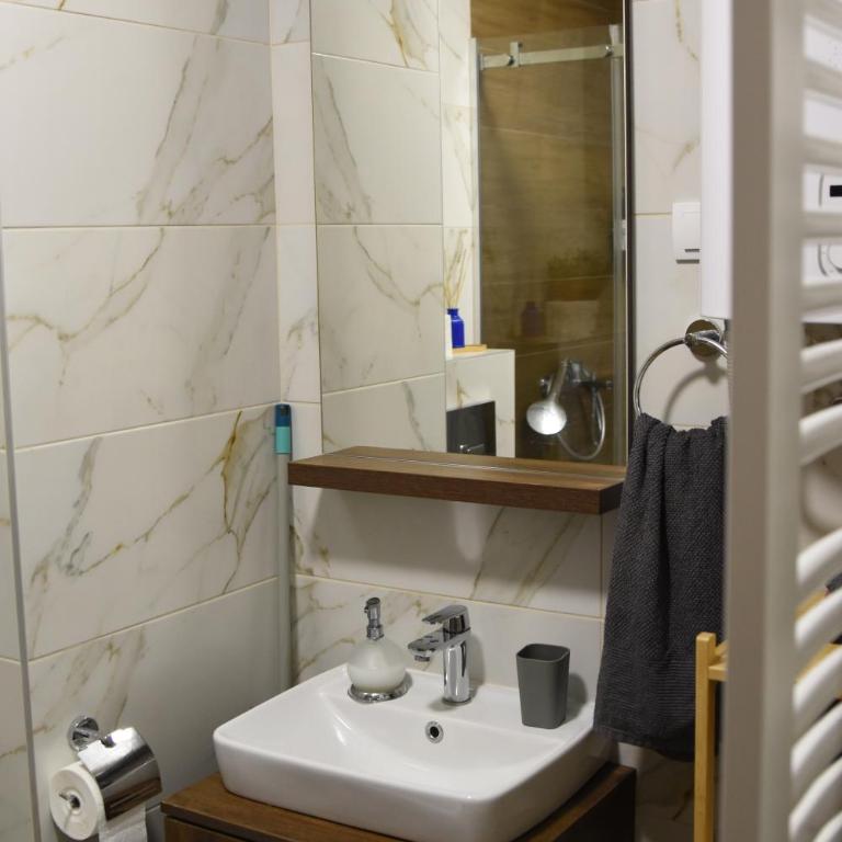 Studio Apartman Nomad Divčibare - Studio apartman sa 1 bračnim krevetom - 19