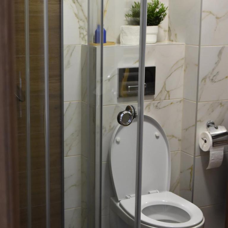 Studio Apartman Nomad Divčibare - Studio apartman sa 1 bračnim krevetom - 21