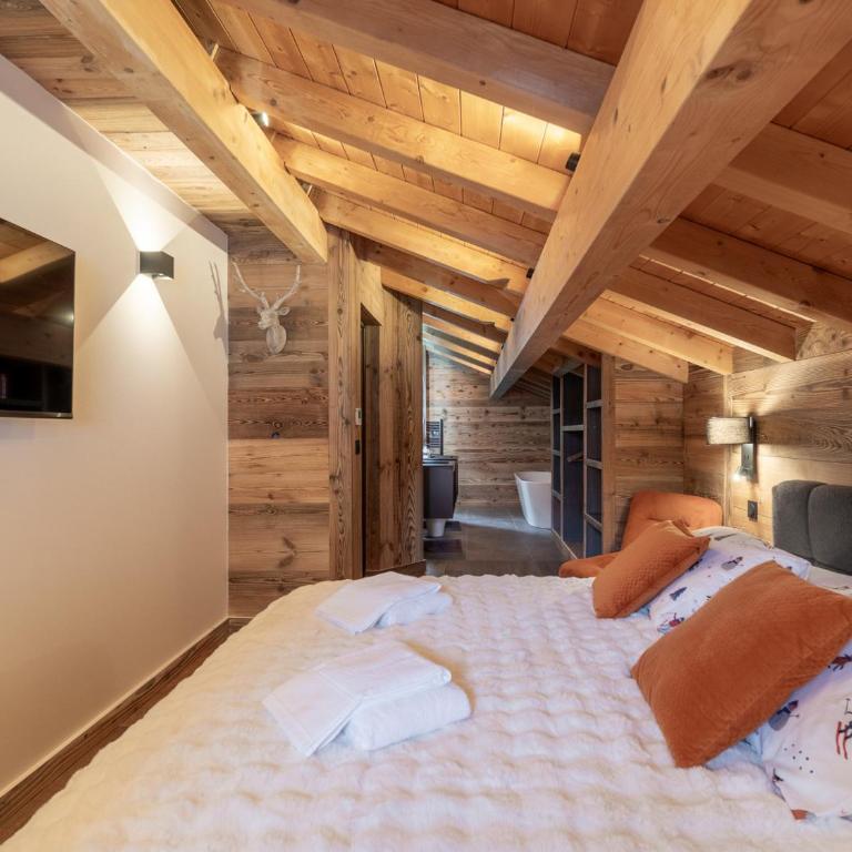 Chalet avec animaux admis - 14 pers. - FR-1-671-364 - Chalet - 9