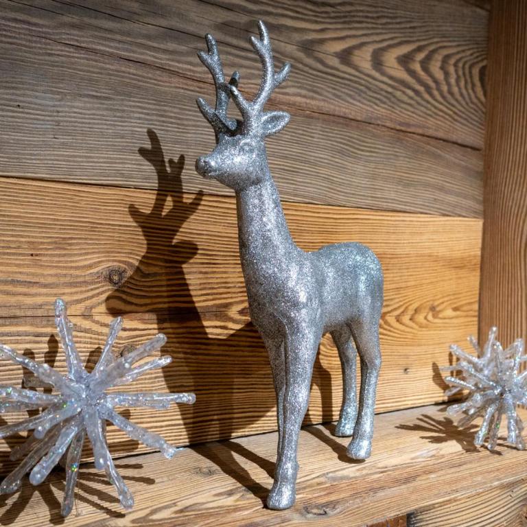 Chalet avec animaux admis - 14 pers. - FR-1-671-364 - Chalet - 27