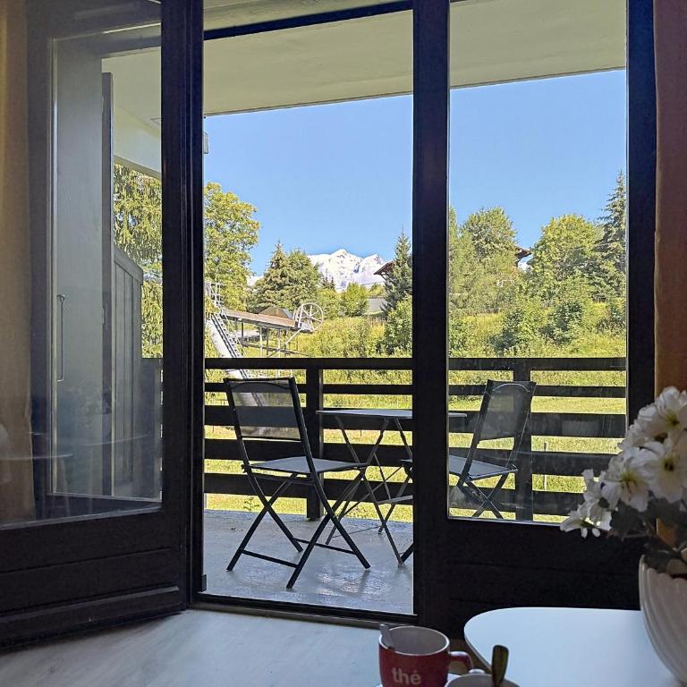 Studio au pied des pistes, vue Mont-Blanc - Studio - 12