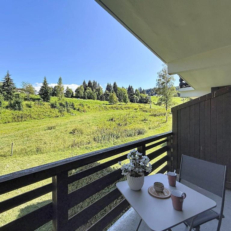 Studio au pied des pistes, vue Mont-Blanc - Studio - 13