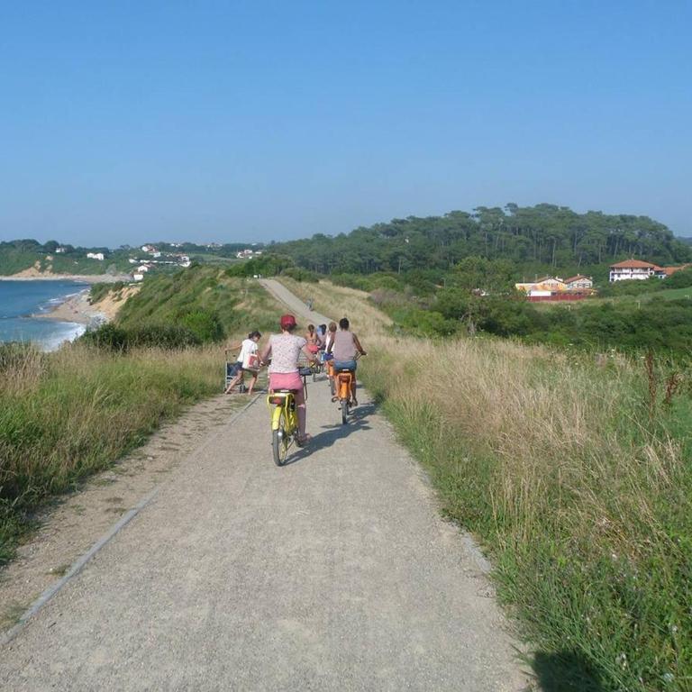 Appartement agréable proche plage Erromardie - 4 pers. - FR-1-4-715 - Appartement - 12