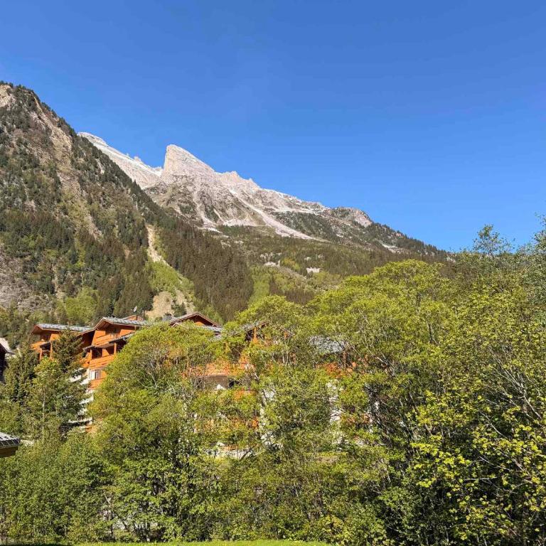 Charmant appartement proche centre - 4 pers. - FR-1-464-266 - Appartement - 6