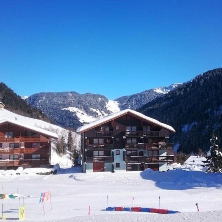 Appartement avec animaux admis - 4 pers. au pied des pistes - FR-1-342-343 - Appartement - 10