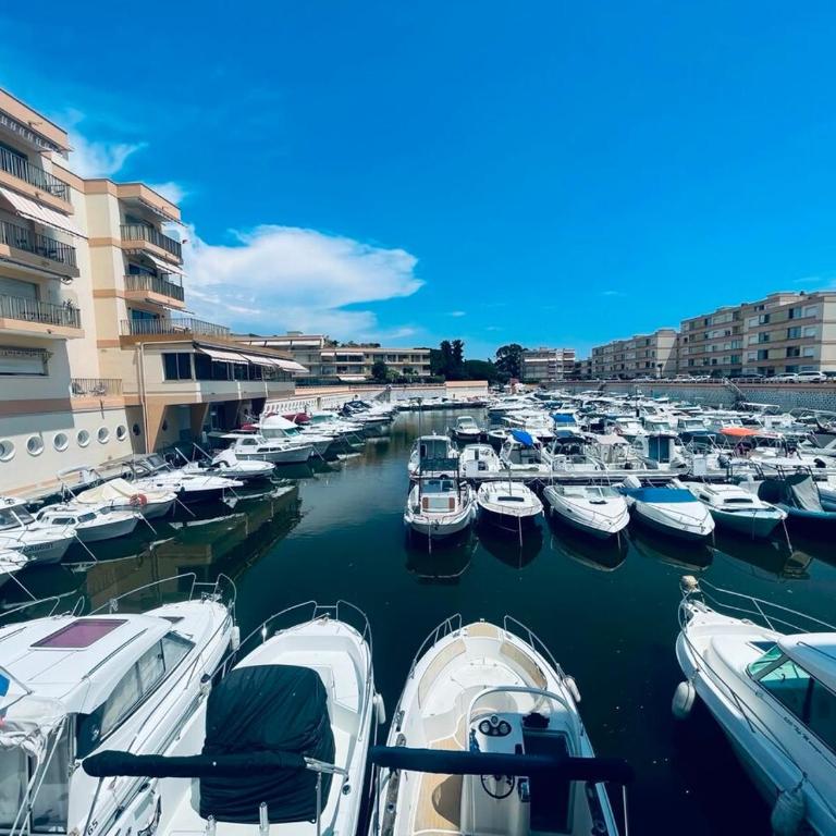 Studio détente avec piscine, proche port et plage - Appartement 1 Chambre - 12