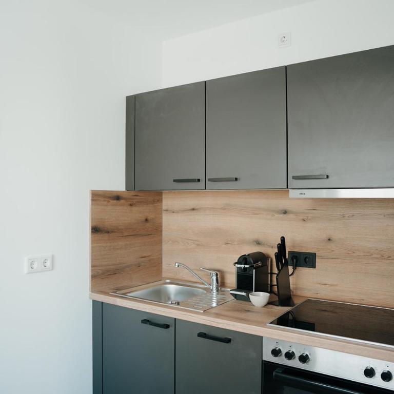 The Haus HANS Nuremberg - Appartement Standard - 8