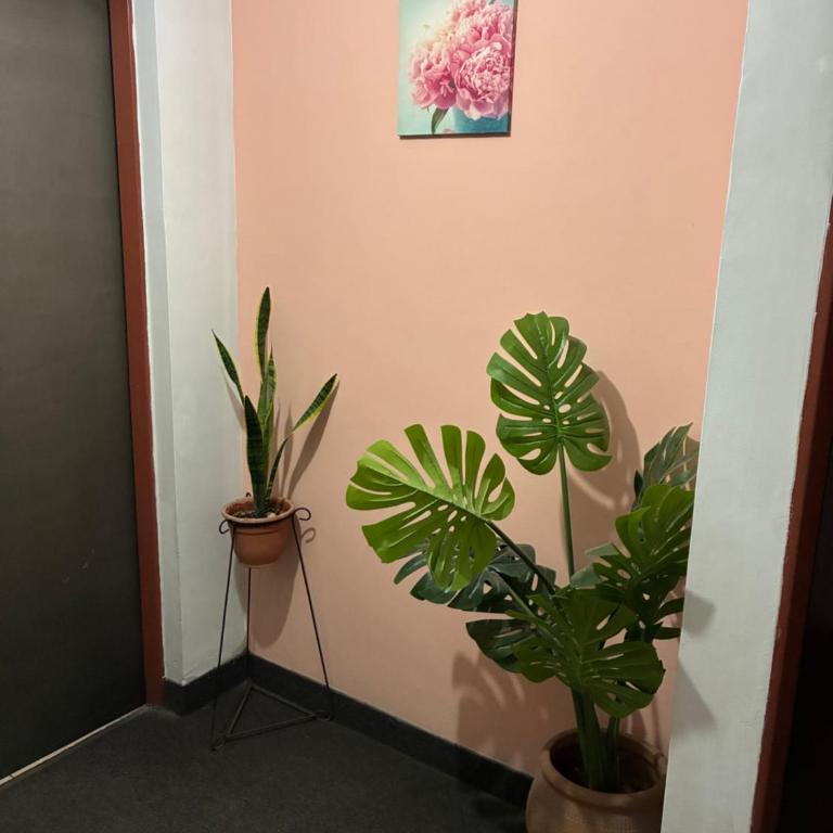 El apartamento de Teddy 2 - Apartamento de 1 dormitorio - 17