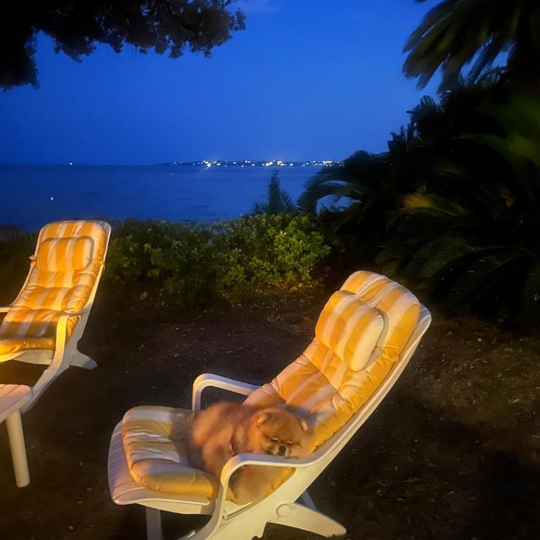Waterfront villa between Cannes and St-Tropez - Villa - 8