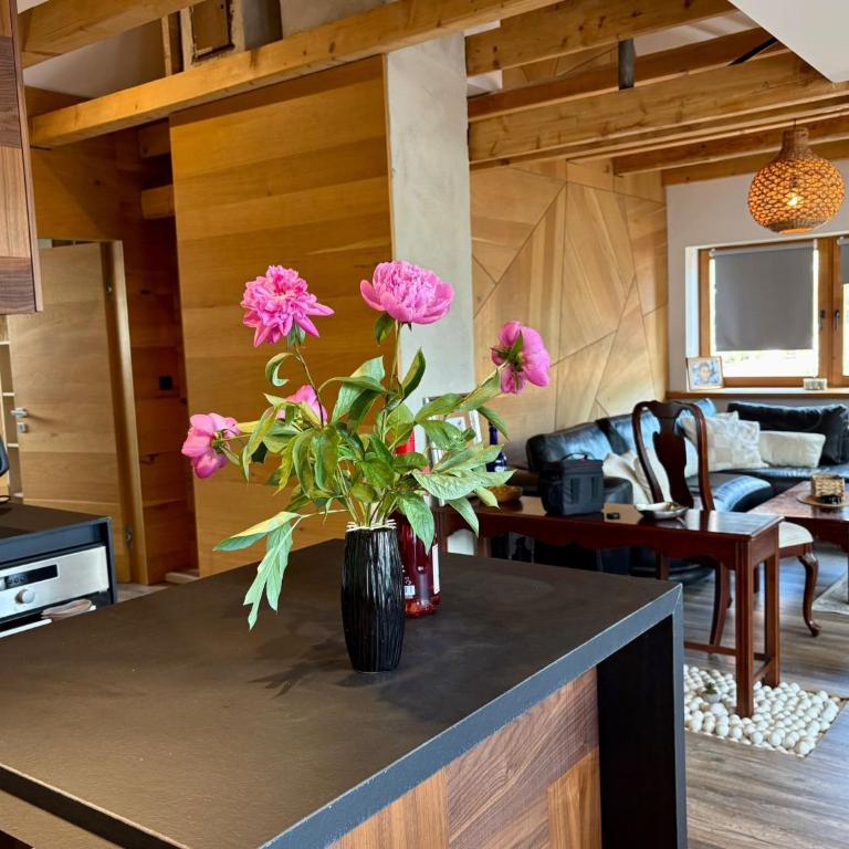 Apartment Regina Old Town - Appartement 3 Chambres - 10