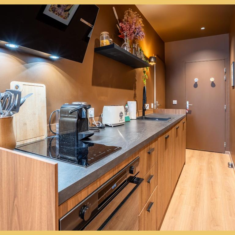 Le Cosy Paquier I Studio I Annecy - Appartement 1 Chambre - 11