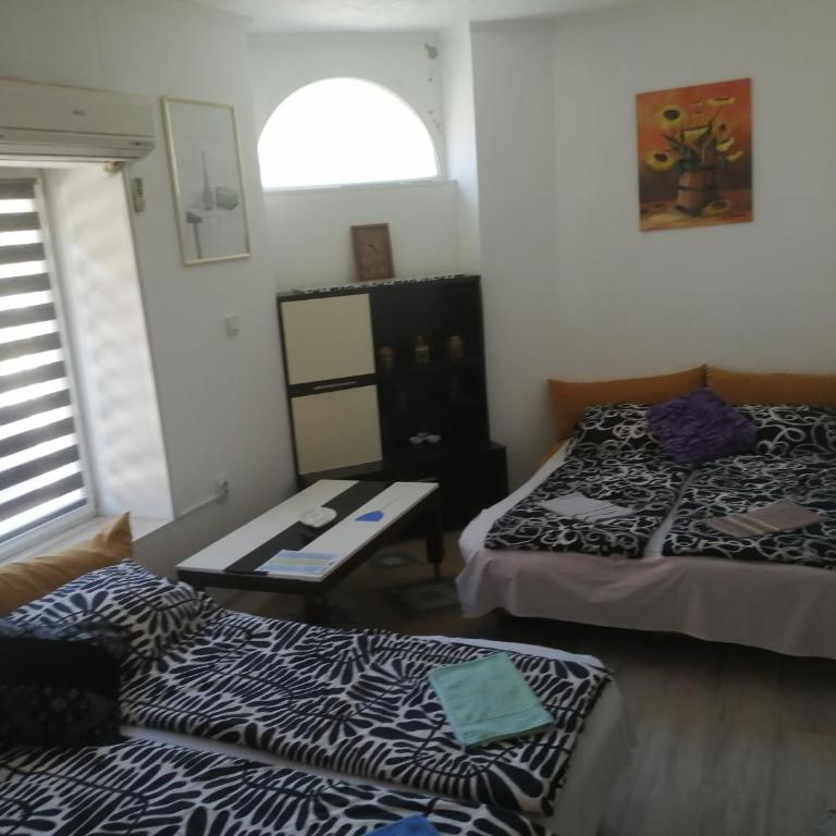 Edel - Appartement 1 Chambre - 1