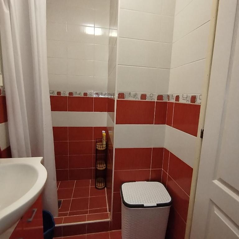 Migun stan Vozdovac - Apartman sa 1 Spavaćom Sobom - 16