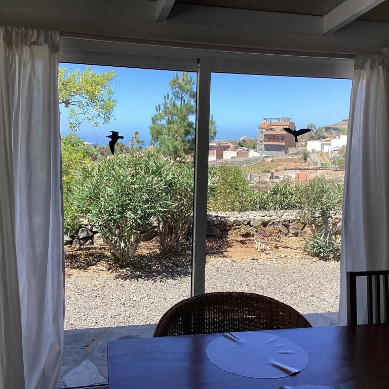 Stilvolle Villa in Teneriffa Süd - Apartamento de 1 dormitorio - 19