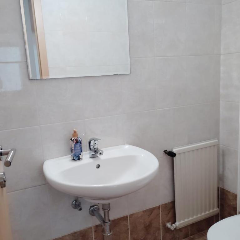 Hannah am Klopeiner see - Apartment mit 2 Schlafzimmern - 12