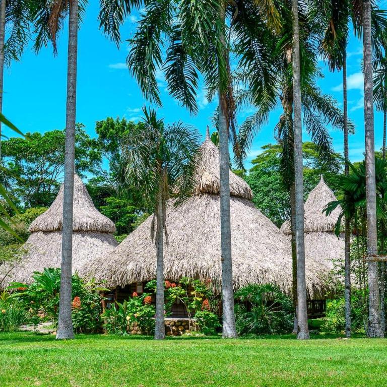 2 Family Comfort Rooms with Terrace - Luna Tierra - Family Room with Terrace - 11