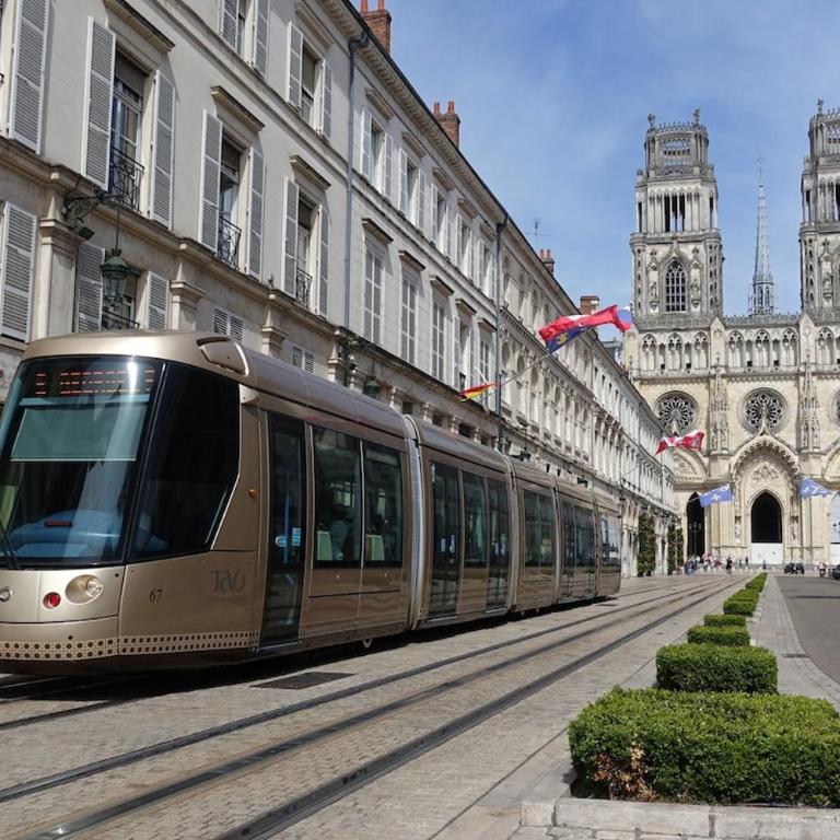Luxueux duplex 110 m2 Orléans centre - Appartement - 25