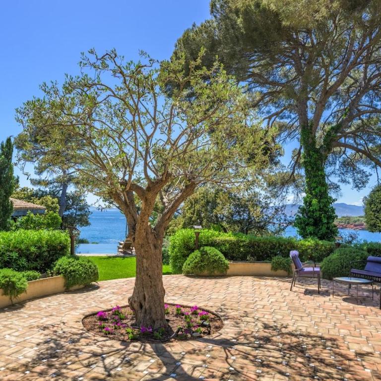 Quiet, beautiful and stylish house in Saint-Raphaël - Villa Deluxe - 39