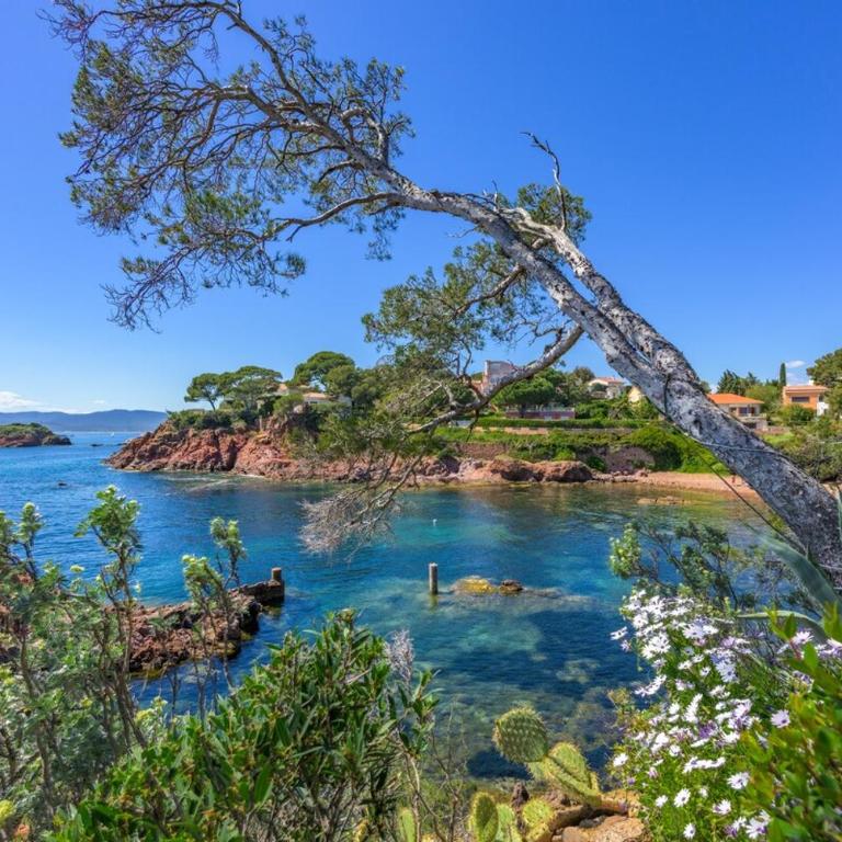 Quiet, beautiful and stylish house in Saint-Raphaël - Villa Deluxe - 25