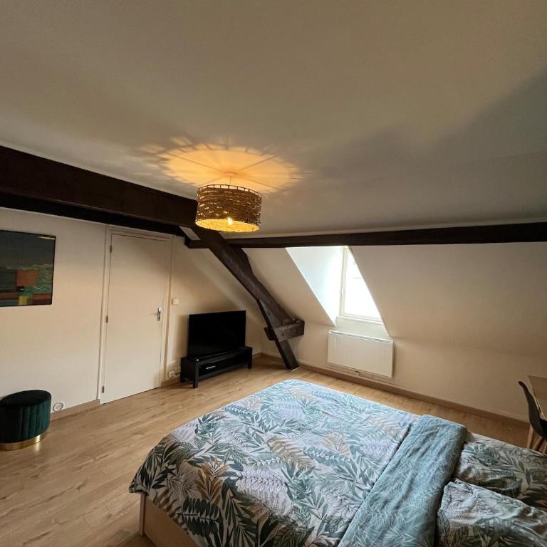 Le Cocon de Châteaudun - Appartement 1 Chambre - 3