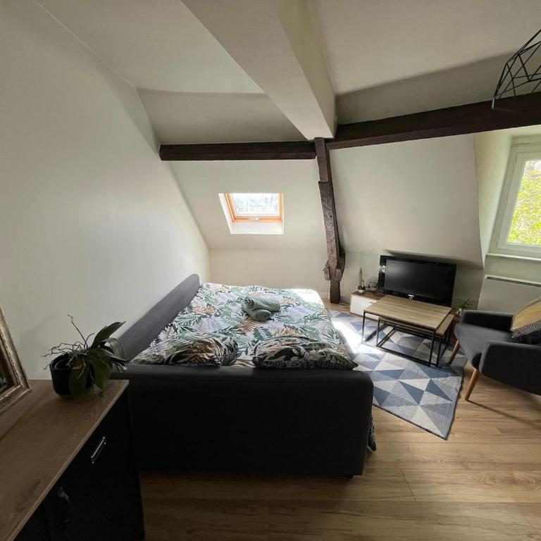 Le Cocon de Châteaudun - Appartement 1 Chambre - 10