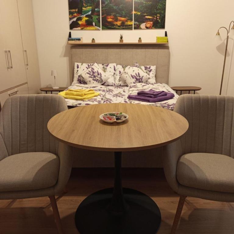 Studio apartman BERMET - Studio sa Balkonom - 3