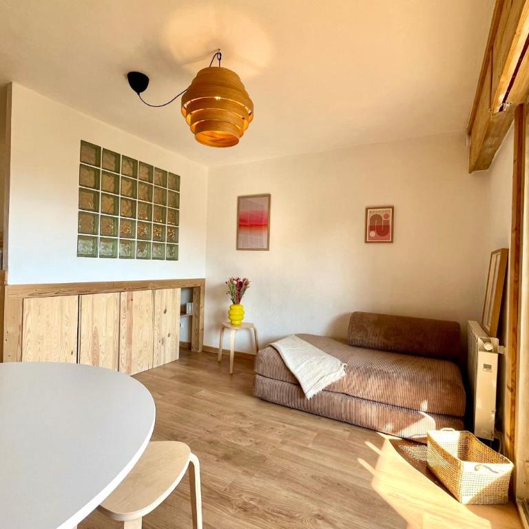 Studio vue Mont-Blanc terrasse et jardin - Studio - 3
