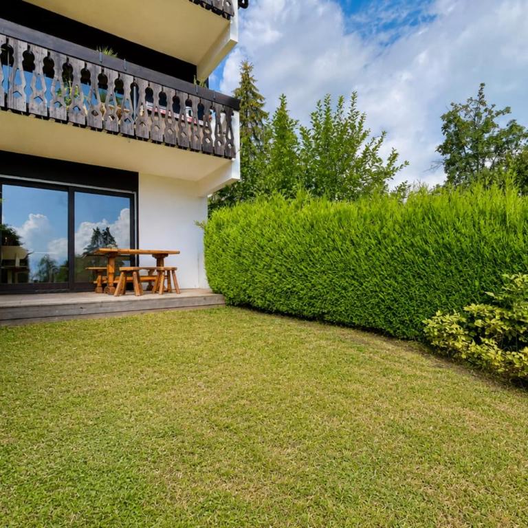 Studio vue Mont-Blanc terrasse et jardin - Studio - 1