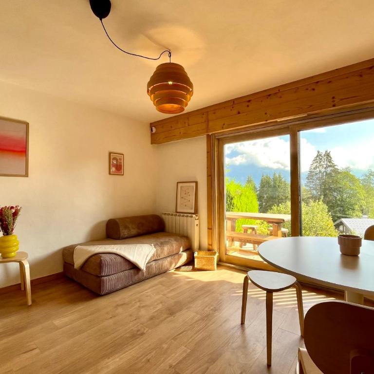 Studio vue Mont-Blanc terrasse et jardin - Studio - 13