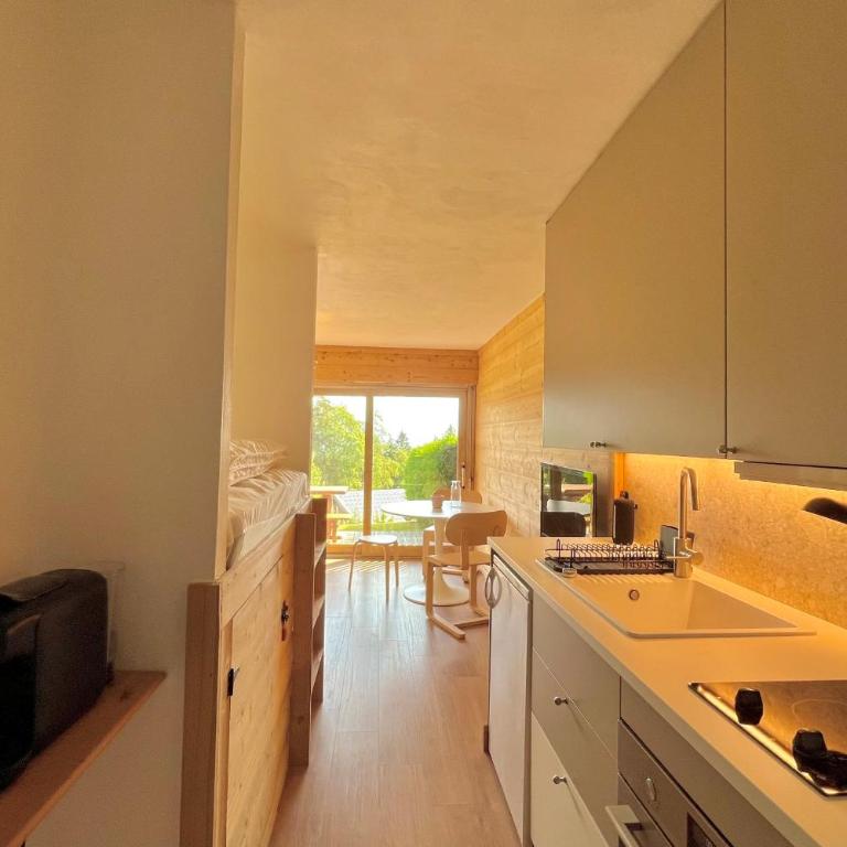 Studio vue Mont-Blanc terrasse et jardin - Studio - 6