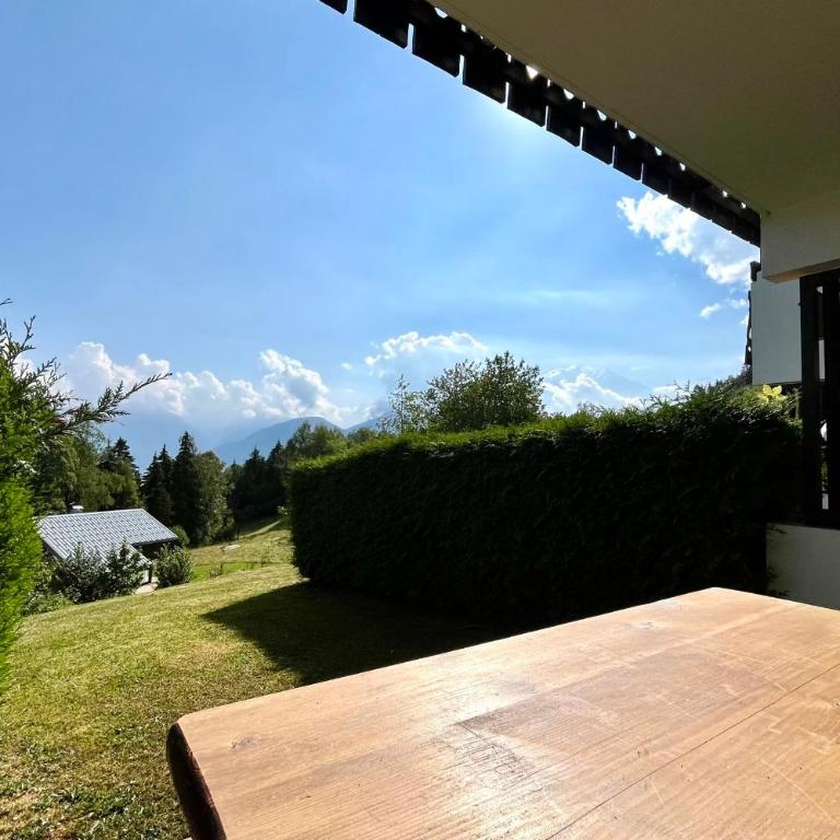 Studio vue Mont-Blanc terrasse et jardin - Studio - 10