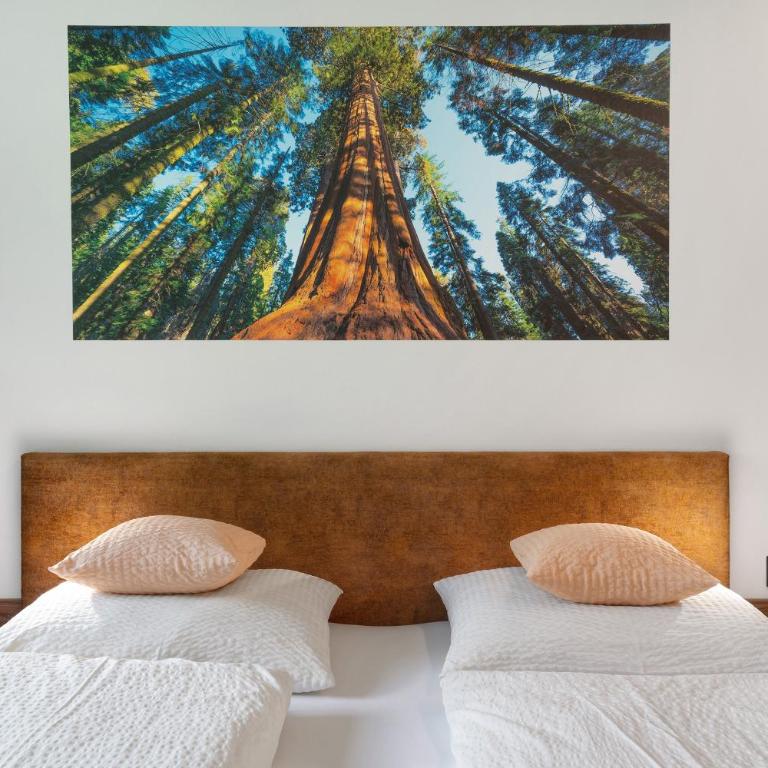 Nature House Pflersch - Appartamento Superior con 1 Camera da Letto e Balcone - 4